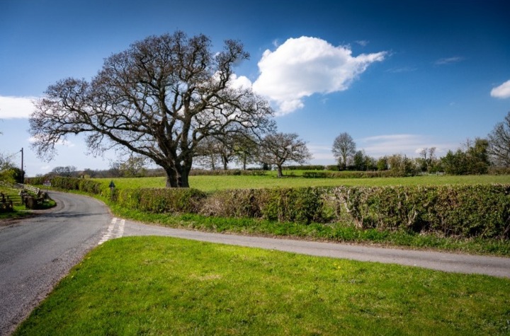 Laverton Oaks 12