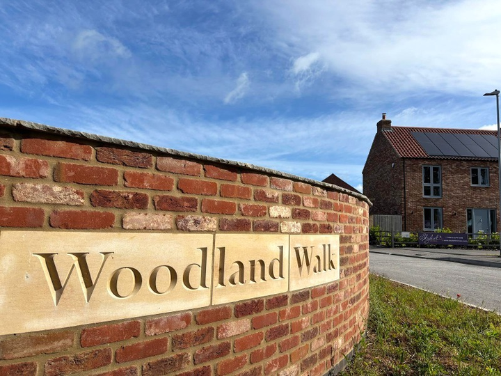 Woodland Walk
